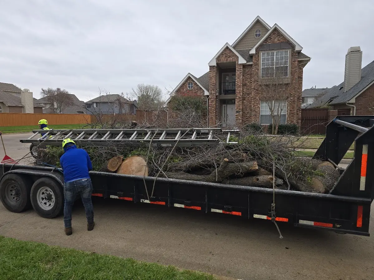 Expert Lot Clearing with proper safety equipment in Kermit